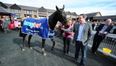 Video: Highlights of the Bragbet launch at the Punchestown festival