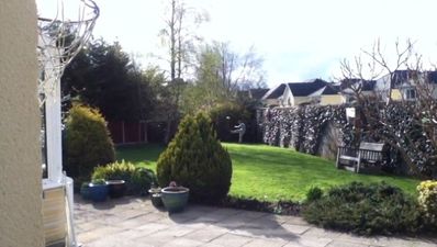Video: Irish lad makes incredible backyard trick shot