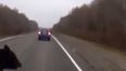 Video: Car hits bear on motorway… in Russia