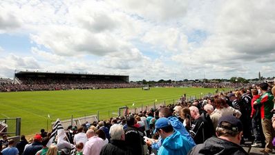 Roscommon Junior teams debate Dr Hyde scheduling row and the photobombing dog’s on Twitter