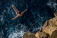 Vine: Some action from the Red Bull Cliff Diving World Series