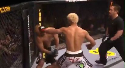 Video: Fancy seeing 100 of the best UFC knockouts in a row?