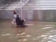 Video: Hero dog pushes wheelchair-bound owner through flooded street