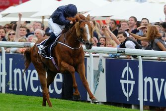 JOE marks your calendar for the sporting week ahead