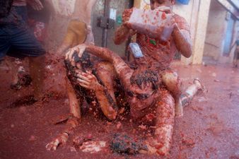 Thomas Cook What’s on Abroad – La Tomatina Festival 2013