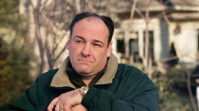 The Sopranos star James Gandolfini dies aged 51