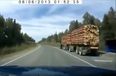 Video: Unlucky Russian driver hit by a falling tree