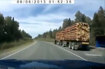 Video: Unlucky Russian driver hit by a falling tree