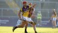 One of the GAA pictures of the year from the brilliant Leinster U21 Hurling final