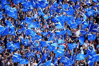 Picture: Is this the new Leinster jersey?