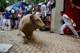 Irishman amongst those injured at the running of the bulls in Pamplona today