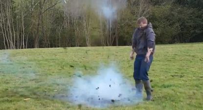 Video: The hilarious aftermath of a firework in cow pat