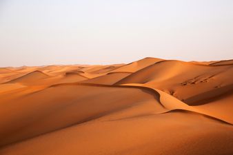 Picture: They’re even supporting Mayo in the middle of the desert today