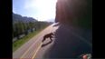 Video: If you ever wondered what it feels like to run into a bear at 140kph, wonder no more