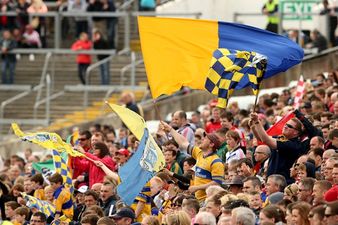 Would moo believe it? Clare cattle lend their support to the Banner