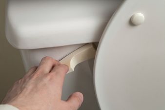 This is why you should always put the toilet lid down before flushing
