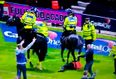 Video: Football steward trampled by police horse following pitch invasion