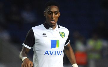 Nivea Player Profile: Norwich new boy Leroy Fer