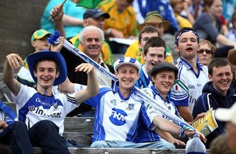 Pic: There was a cow in a Moo-naghan jersey at the Monaghan v Galway ladies match today