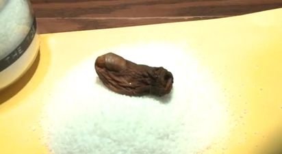 Toe way – man fined $500 for drinking a severed toe from shot glass