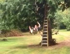 Video: Guy falls off zipline; roars out with hilarious cries of pain afterwards
