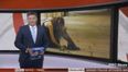Video: BBC newsreader delivers entire report with random ream of A4 paper in his hand