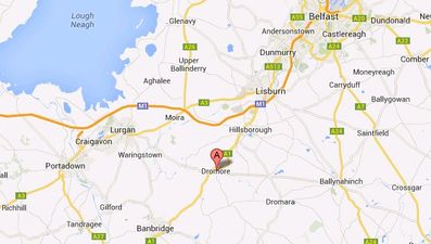 Is there a deadly cat on the prowl in Down?