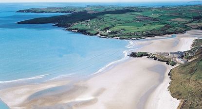 Pic: Cork hurlers getting some incredibly talented support on Inchydoney beach
