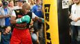 Cool infographic covers every one of Floyd ‘Money’ Mayweather’s 44 wins in the ring