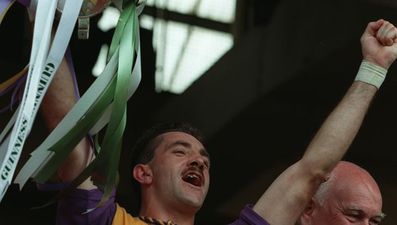 Pic: Sunday Times graphic erases Wexford from the All-Ireland hurling roll of honour