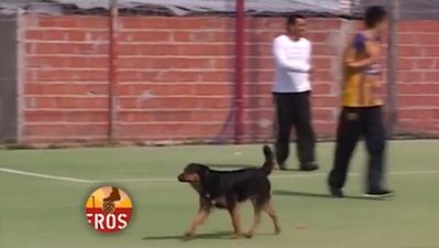 Didier Dog-ba: Pooch nods home to score a great goal