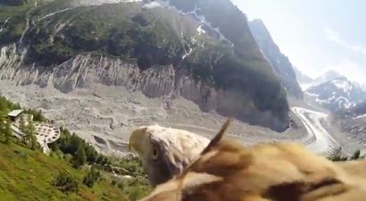 Video: This is what you call a bird’s-eye view