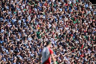 Leinster and Munster in the running for best rugby fans in the world