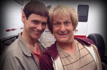 Woohoo! Official release date for Dumb and Dumber To announced