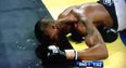 Video: One of the hardest-hitting boxing KO’s you will see