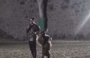 They might have taken the horse to France: World’s Smallest Horse kidnapped