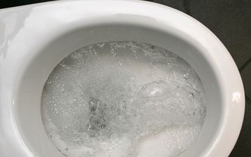 Venezuela’s World Cup hopes go down the toilet as squad struck down with ‘explosive diarrhoea’