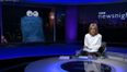 Video: Did you see the Cookie Monster being interviewed on Newsnight last night?