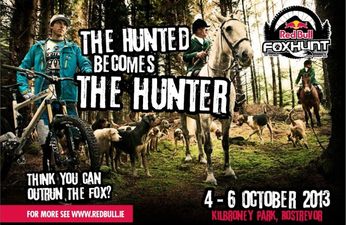 What exactly is the Red Bull Foxhunt?