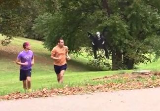 Video: Easily the scariest and most organised prank you’ll see this Halloween