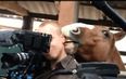 Video: Cameraman remains remarkably calm while amorous horse nibbles on his ear