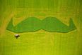 Pic: County Derry farmer brilliantly mows gigantic moustache into his field in aid of Movember