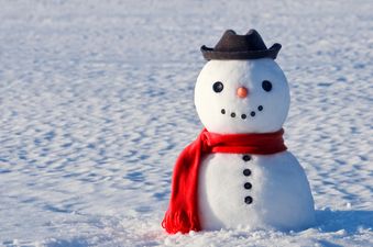 Picture: The first snowman of the season in Ireland has arrived