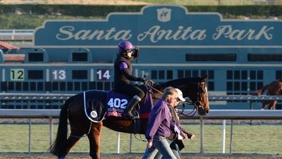 Ladbrokes’ Hayley O’Connor talks us through the Breeders’ Cup, the Melbourne Cup and the meaning of class