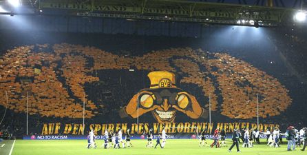 Dortmund really in the shi* as pigeons creating serious problems at the Westfalenstadion