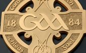 10 things we learned from the 2013 GAA Annual report