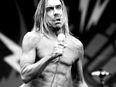 JOE’s Juke Box: Iggy Pop, ‘Passenger’