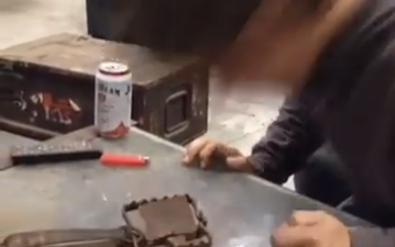 Video: Man face-plants a rabbit trap for a dare