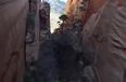 Video: Watch as wingsuited daredevil incredibly speeds through canyon