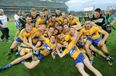 Eight of the best for the Banner as All-Ireland Champs dominate hurling All-Star side